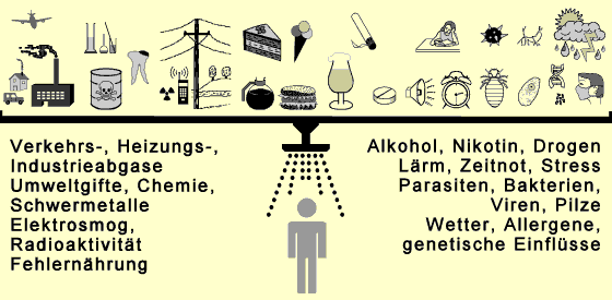 Abgase, Chemie, Schwermetalle, Elektrosmog, Radioaktivit&auml;t, Fehlern&auml;hrung, Drogen, L&auml;rm, Stress, Erreger, Allergene, Wetter, Gene